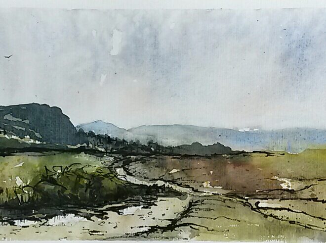 Looking Towards the Tors, Dartmoor by Penny Newman