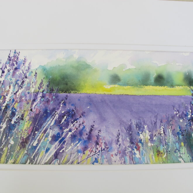 Field of Lavender by Chris Lockwood