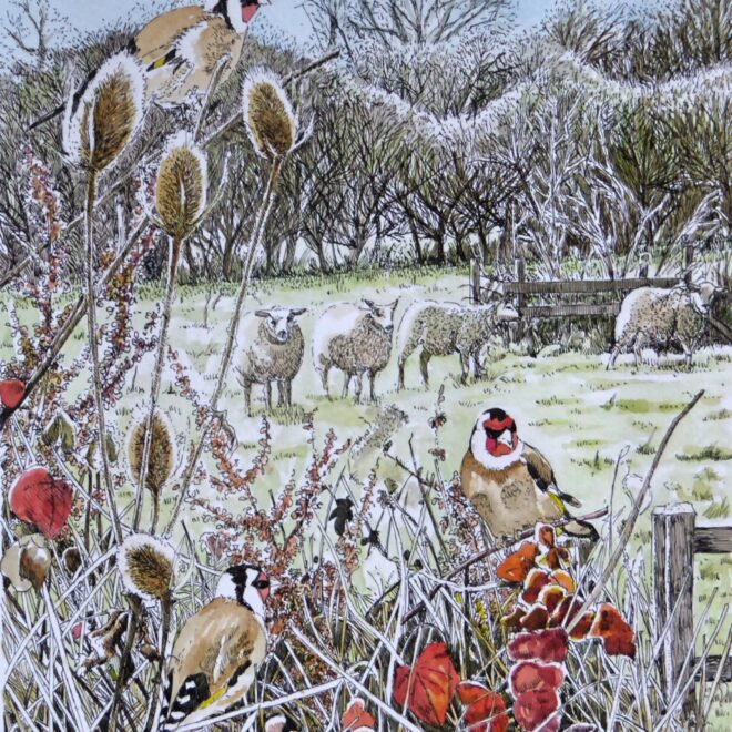 Goldfinches and sheep by Fran Godwood
