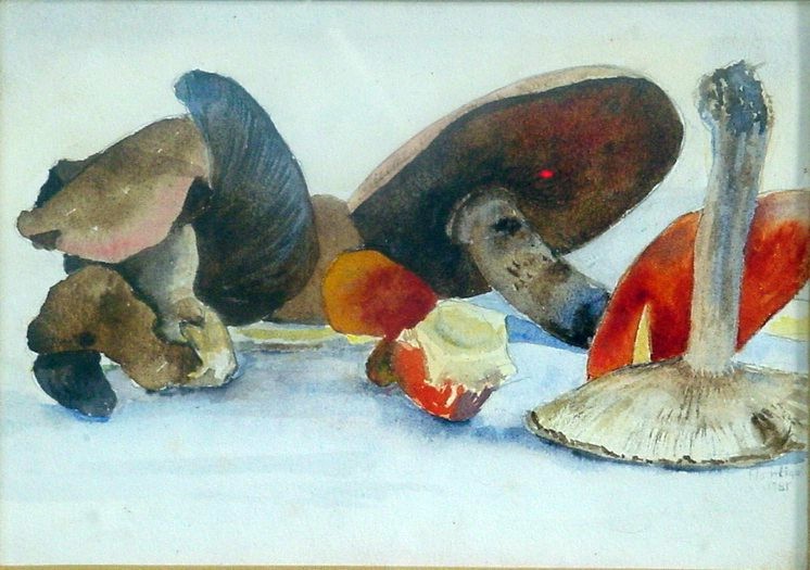 Mushrooms and Toadstools. Watercolour by Charles Nightingale