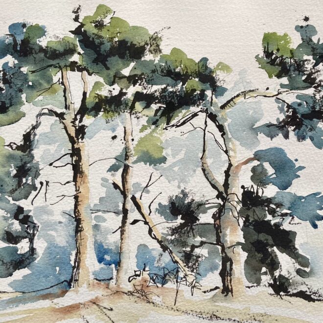 Breck trees at Knettishall Heathby Penny Newman