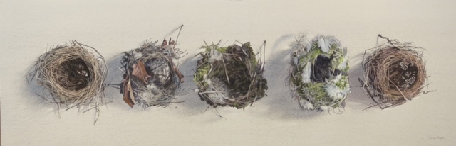 Empty nests by Lillias August