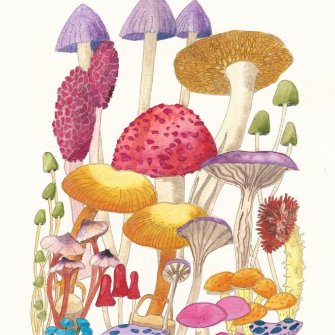 Fungi Fantasy by Janet Hathiramani
