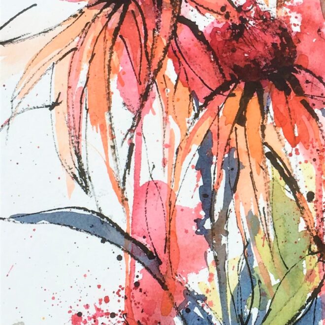 Irish Echinacea by Penny Newman