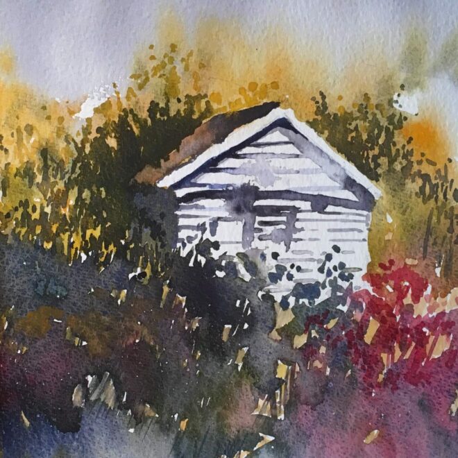 The white shed by Penny Newman (unframed)