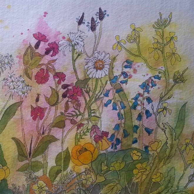 Wild flowers by Janet Hathiramani