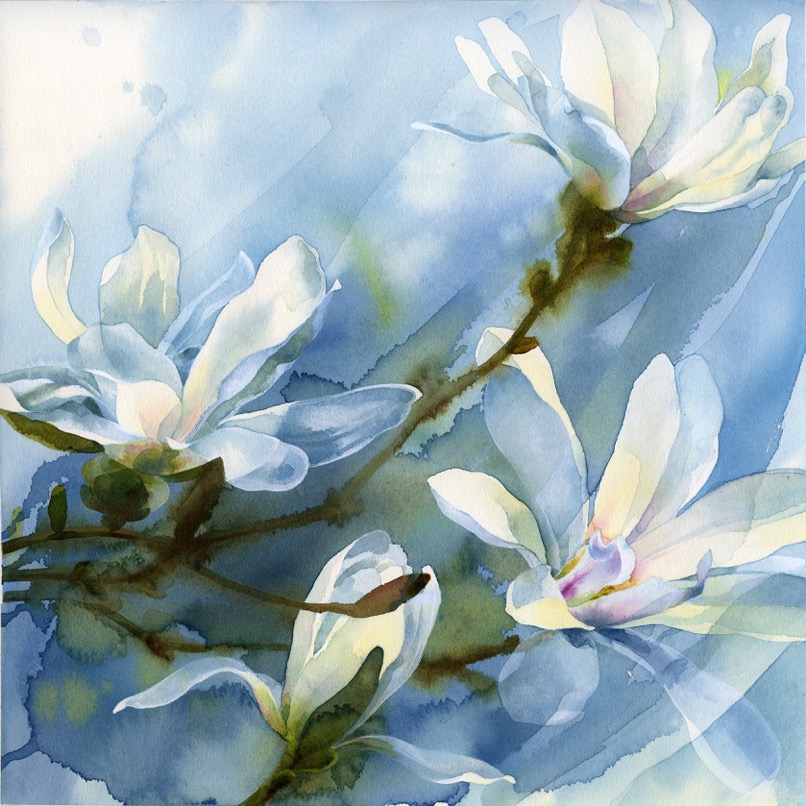Magnolias by Petula Stone