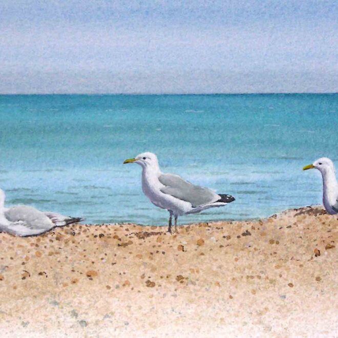 Seagulls-at-Aldeburgh-by-Jan-Couling