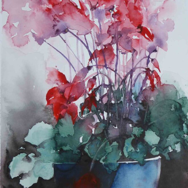 Red Cyclamen by Carol Whitehouse