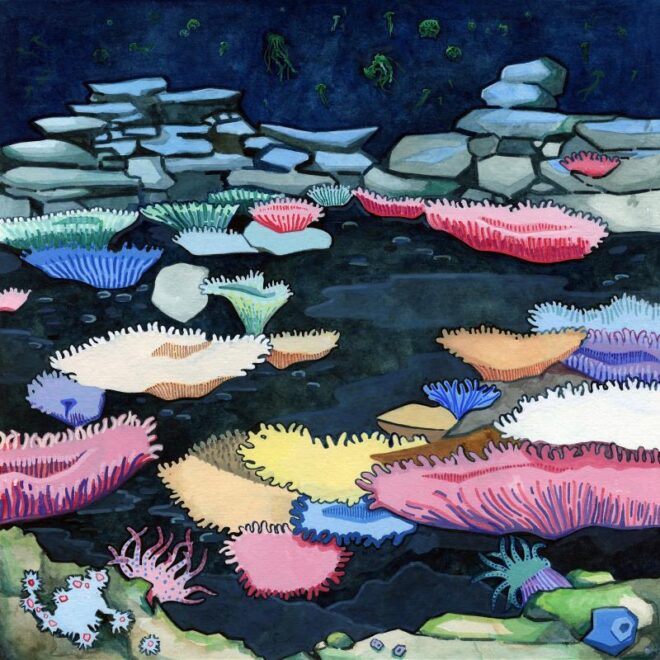 The Royal Watercolour Society President’s Award: Beneath the fields of jellyfish by Ben Alden