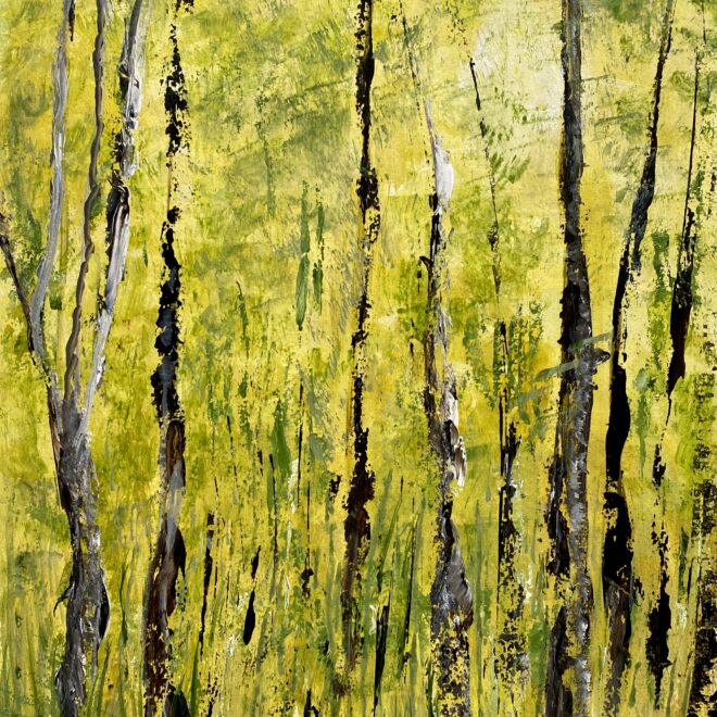 Juli Fejer_Spring Woodlands