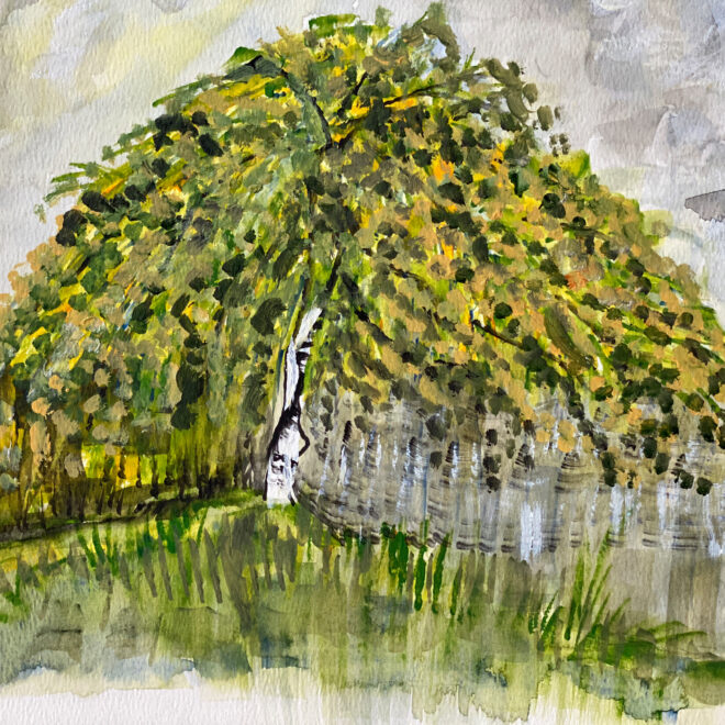Juli Fejer_Weeping Birch in the Abbey Gardens