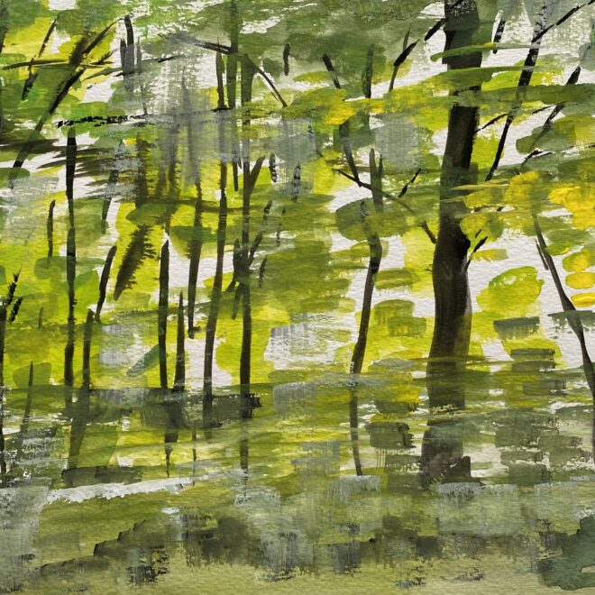 Juli Fejer_trees seen from the car