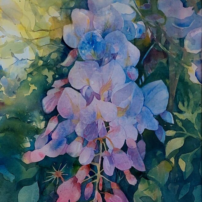 Helen Otter Wisteria The Royal Watercolour Society Award (1)