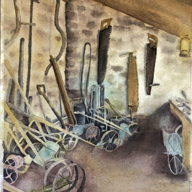 Vintage tool shed - Scilla Devenish